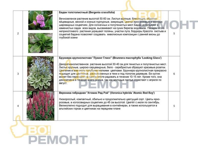 Проект благоустройства территории-102
